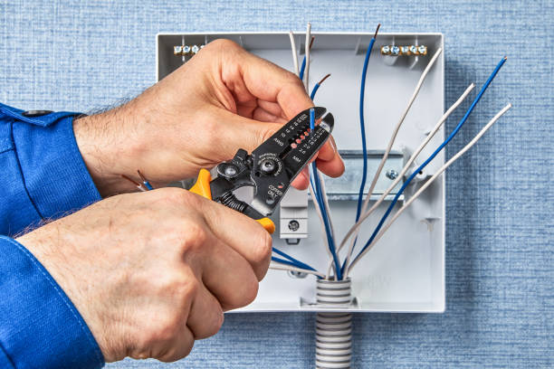 Best Electrical Panel Upgrades  in Griggsvle, IL