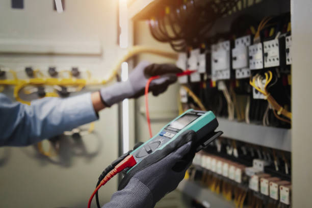 Best Electrical Panel Upgrades  in Griggsvle, IL